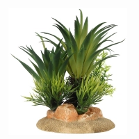 AQUA DELLA Растение для аквариумов "Sago Palm", 13,5x10x16см