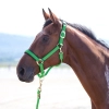 SHIRES Недоуздок "Topaz", зеленый